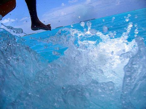 Splash! (Via <a href="http://www.flickr.com/photos/notsogoodphotography/2099576911/">Notsogoodphotography</a>.)